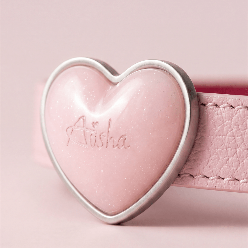 buckle close-up